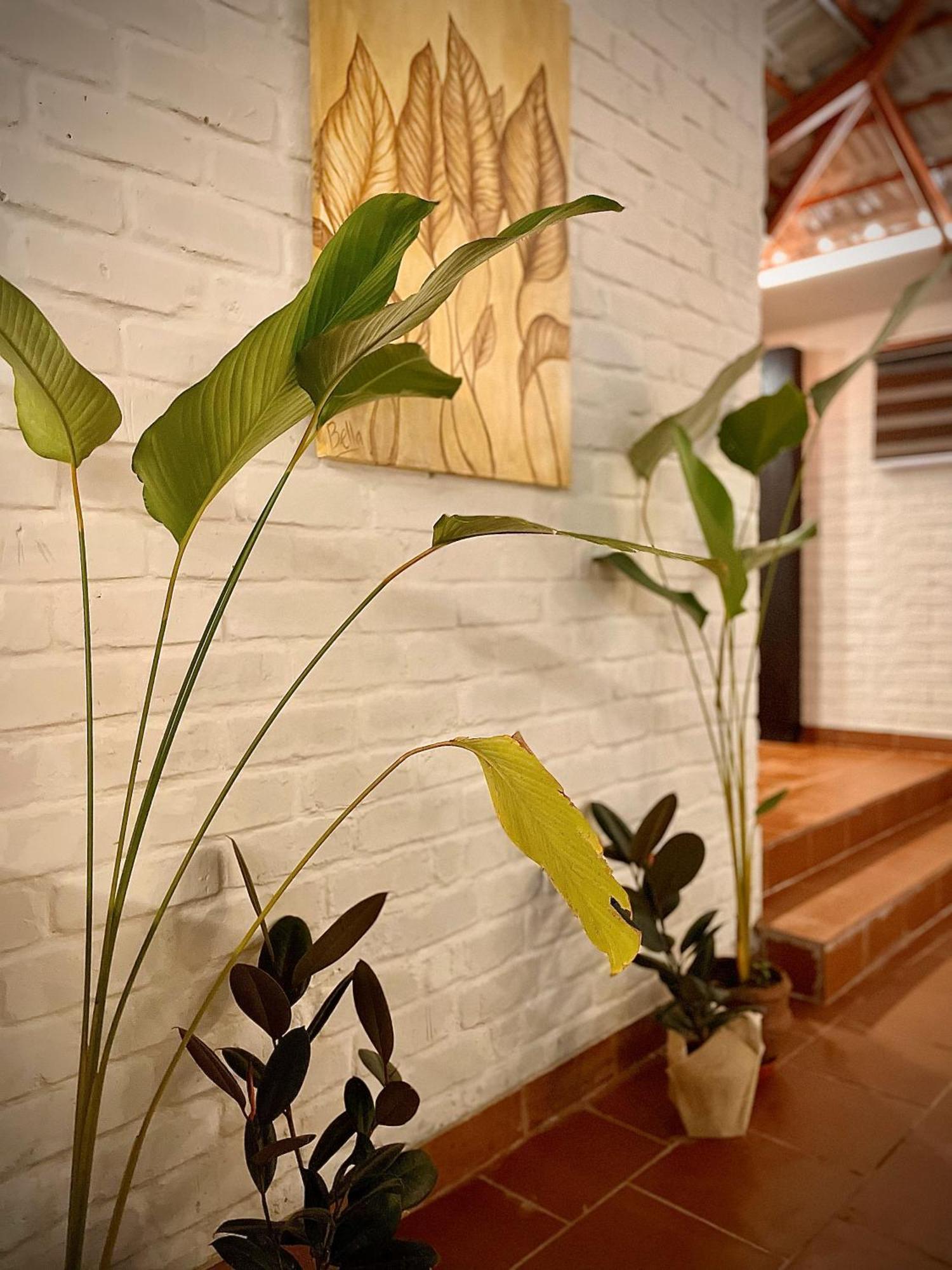Boho'S Hotel Varkala Buitenkant foto